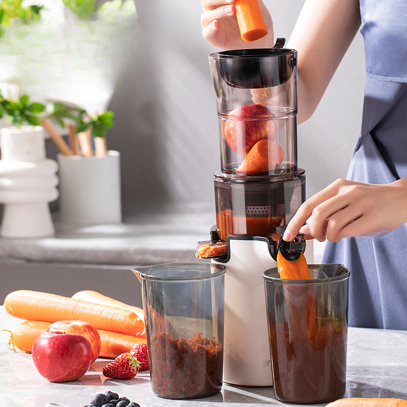 220V Household Electric Slow J - đánh giá và giá Citrus Juicer Bar