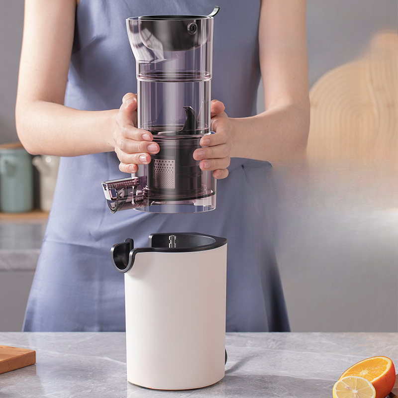 220V Household Electric Slow J - đánh giá và giá Citrus Juicer Bar